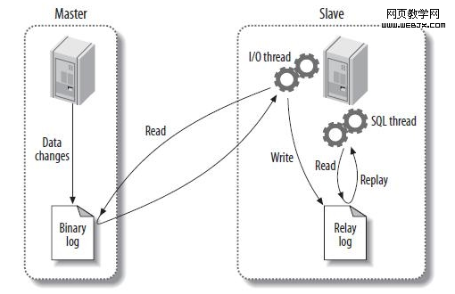 MySQL