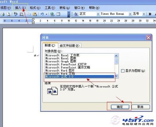 wordвMicrsoft ʽ3.0